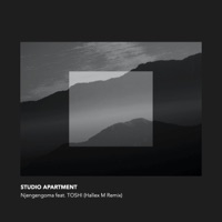Njengengoma (feat. TOSHI) - Single - Studio Apartment