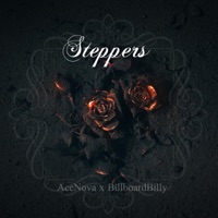 Steppers (feat. BillboardBilly) - Single - AceNova