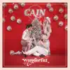 Wonderful (feat. Steven Curtis Chapman)