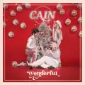 Wonderful (feat. Steven Curtis Chapman)