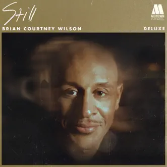 Still by Brian Courtney Wilson song reviws