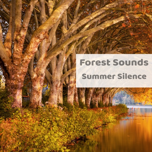 Summer Silence