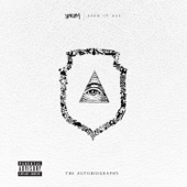 Seen It All: The Autobiography (Deluxe Version) artwork