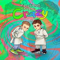 CRAZY - Single - danchainz & fazke