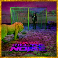 Kill The Noise - Single
