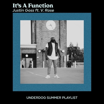 It's a Function (feat. V. Rose) - Single