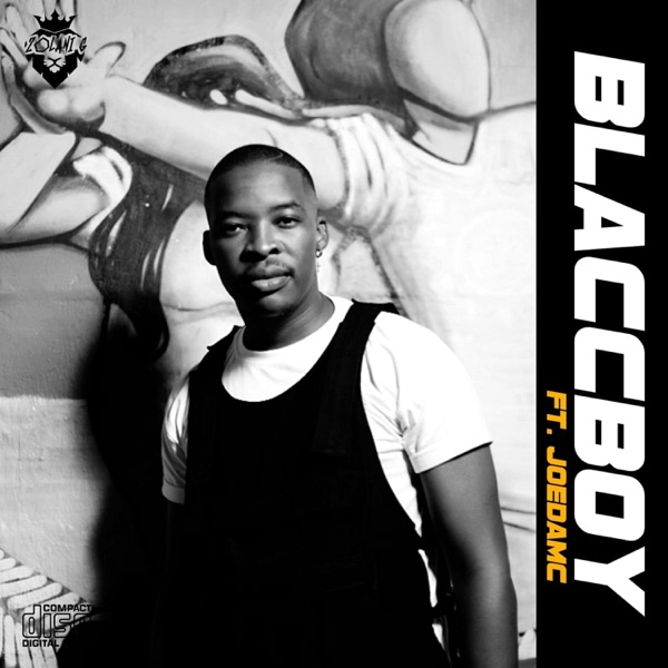 Blaccboy (feat. JoeDaMc)