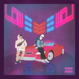 Low (feat. Dasho.dnks) pKass