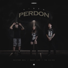 Piden Perdón Neztor MVL, Gaby Lee & TM Zaiko