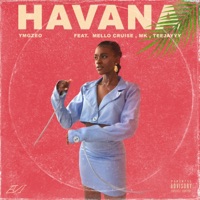 Havana (feat. Mello Cruise, Mk & TeeJayyy) - Single - Ymgzeo