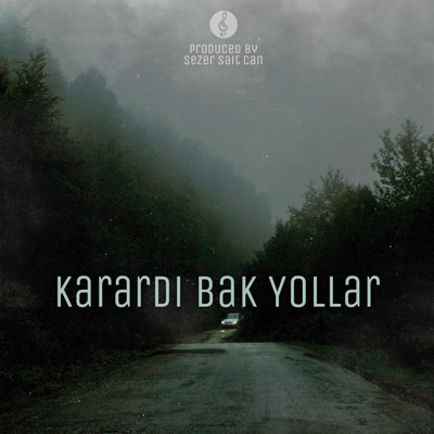 Karardı Bak Yollar (Radio Edit) [Radio Edit] - Single