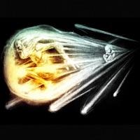 Burning Fast - EP - Plamenev