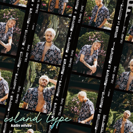 Cover artwork for Island Type
