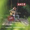 Amie - Donavon Frankenreiter lyrics