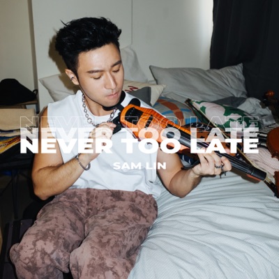 Never Too Late - Single