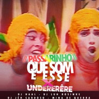 Passarinho Que Som É Esse X Underêre (feat. Mina de Quebra) - Single - Dj Jéh Cardoso, Dj Luh Rosinke & DJ Haal