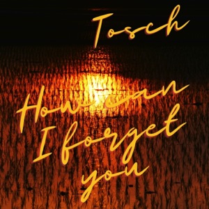 How Can I Forget You - Single