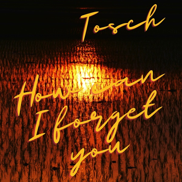 How Can I Forget You - Single