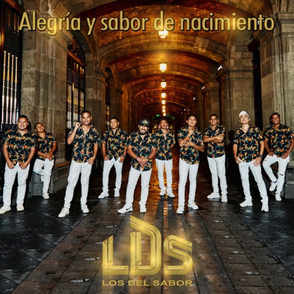 Alegría y Sabor de Nacimiento artwork