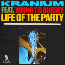 Life Of The Party artwork