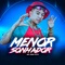 Menor Sonhador (feat. DJ Biel Bolado) - Mc Digo STC lyrics