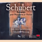 Violin Sonata in A Major, Op. 162, D. 574: IV. Allegro vivace artwork