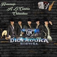 Homenaje A La Cumbia Chihuahua (feat. Los Caporales de Chihuahua, Los Vendavales de Adán Meléndez & Indomable de Chihuahua) - Single - La Dictadura Norteña