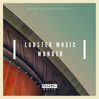 Wonder - Wizard & Scizzahz