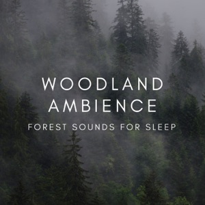 Woodland Ambience Forest Sounds for Sleep