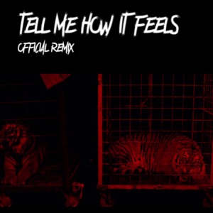 Tell Me How It Feels (feat. AF_DEAN, Yuung Boi, HAERISGOOD, Nabilooo, Uzuma & Hell boi) [Remix]