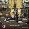 Tik Tok (feat. Darike the Producer) - Single