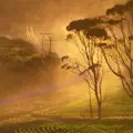 Surrender