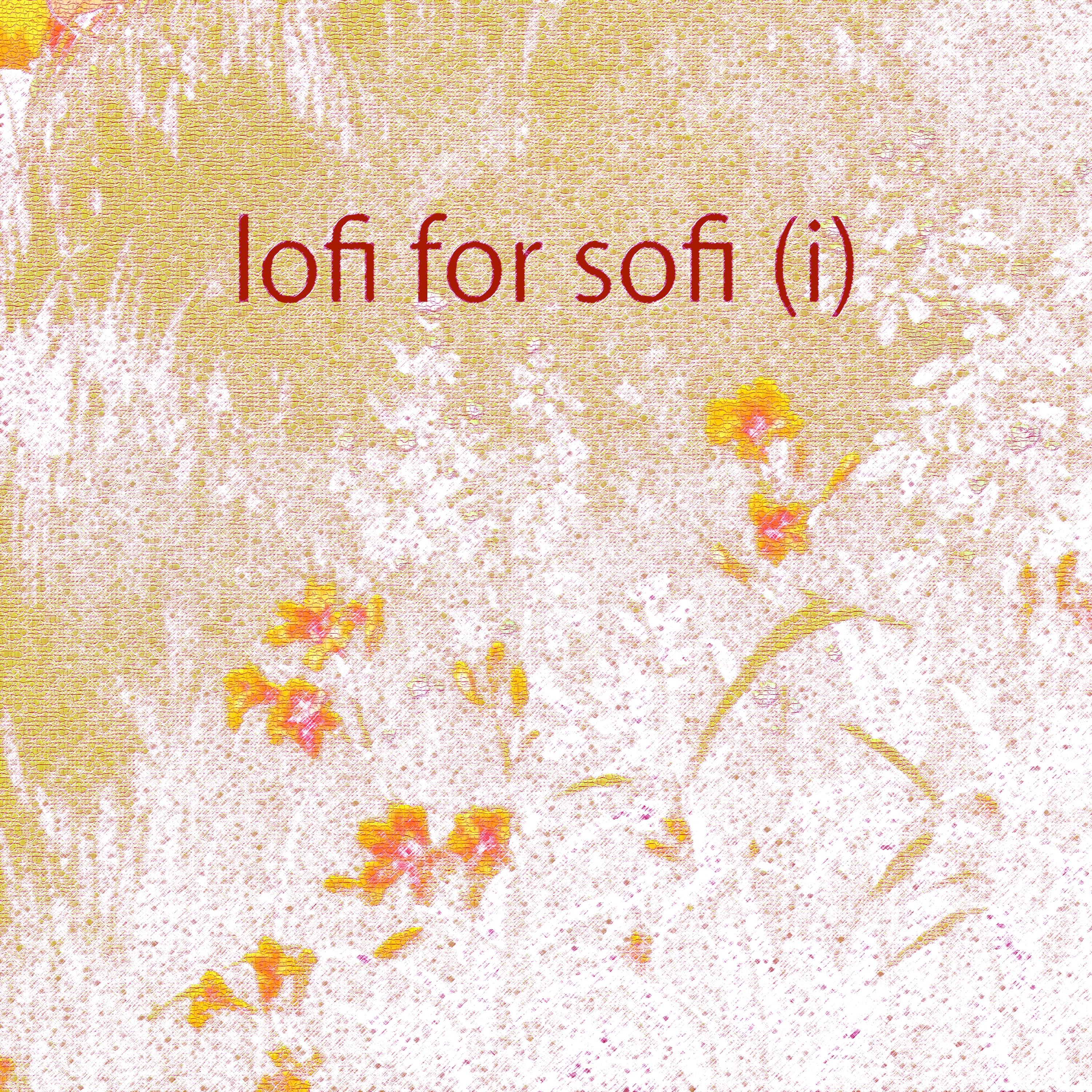 Lofi For Sofi (I)