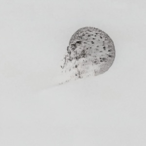 all the other times - Single