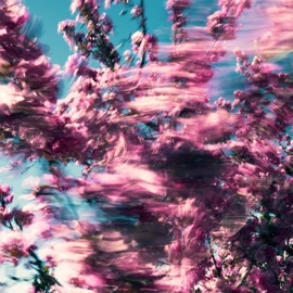 Don't Leave (feat. Mateo Centeno) Rayon Thomas