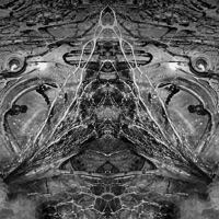 The Darc Triad - Roughneck Jihad