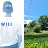 Wild - Single