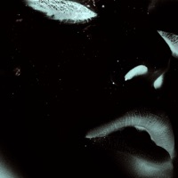 Crazy - Single - Greta Tuborg