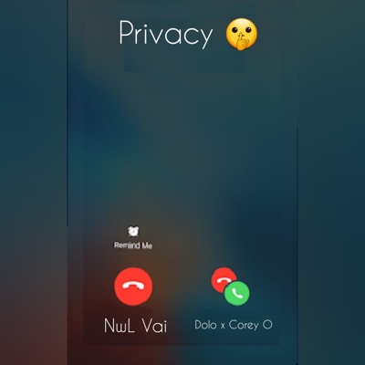Privacy (feat. Corey O & DoloFromThe7) - Single