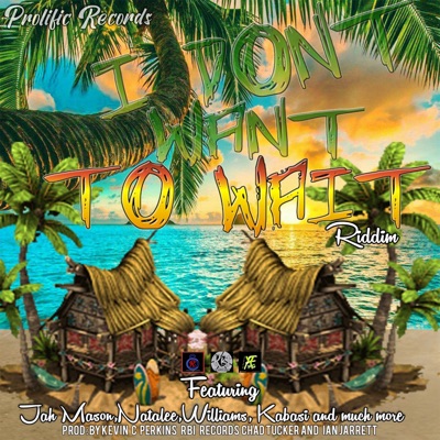 I DONT WANT TO WAIT (feat. BRAMMER TRINITY) - Single