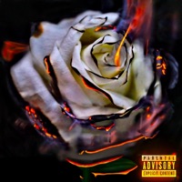 My Moment - Single - Belo