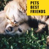 Pets Best Friends