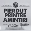 Pierdut printre amintiri (feat. Cristina Spatar) - Single