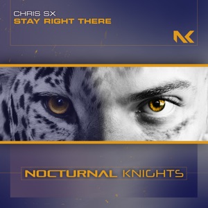Stay Right There - Single