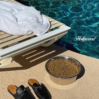 Hollywood - Single - The Apartment, Dante Bowe, Harolddd & Siri Worku