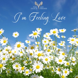 I'm Feeling Love (feat. Felicia Farerre)