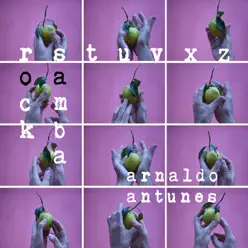 RSTUVXZ - Arnaldo Antunes RSTUVXZ - Arnaldo Antunes