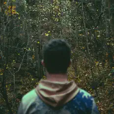 Listen to Almost Vanished, watch music videos, read bio, see tour dates & more!