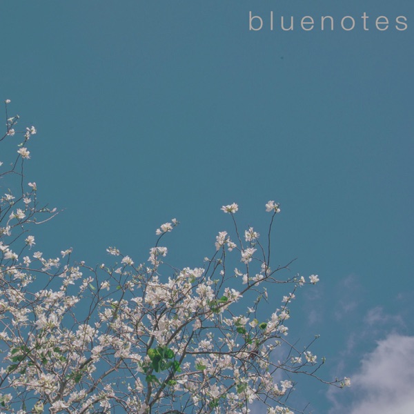 Bluenotes - Single