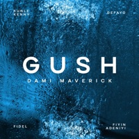 Gush (feat. Kunle Kenny, Fiyin Adeniyi, Defayo & Fidel) - Single - Dami Maverick